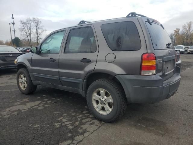 2005 Ford Escape XLT