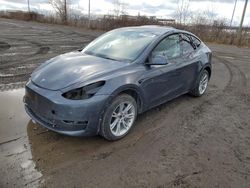 Salvage cars for sale at Montreal Est, QC auction: 2023 Tesla Model Y