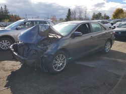 Toyota salvage cars for sale: 2015 Toyota Camry LE