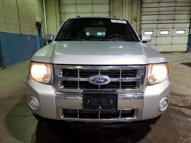 2010 Ford Escape Limited