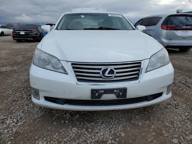 2011 Lexus ES 350