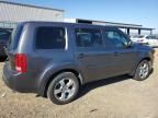 2014 Honda Pilot EXL