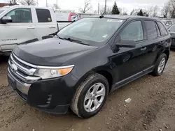 Ford Edge salvage cars for sale: 2013 Ford Edge SE