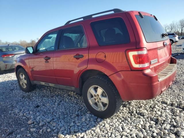 2009 Ford Escape XLT