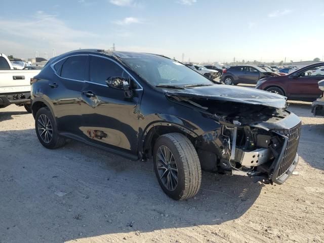 2024 Lexus NX 250 Base