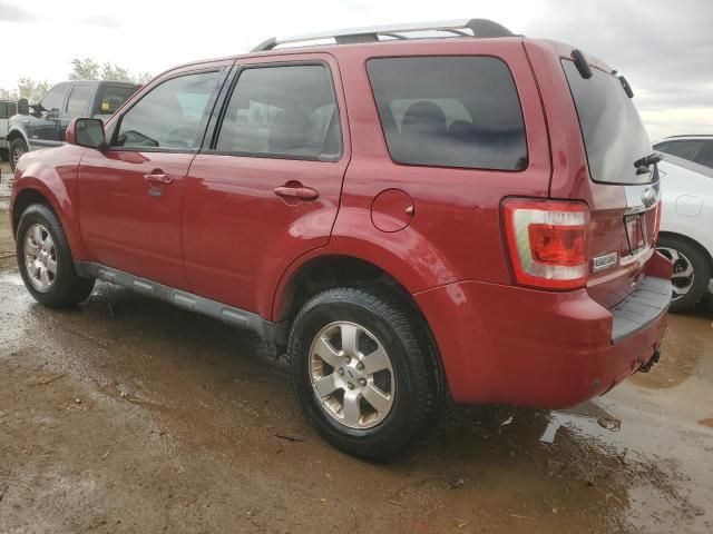 2011 Ford Escape Limited