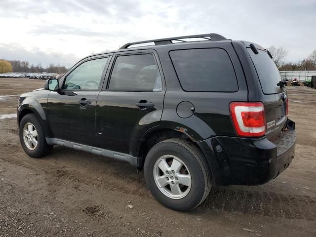 2010 Ford Escape XLT