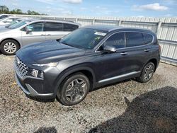 Hyundai Santa fe salvage cars for sale: 2023 Hyundai Santa FE Limited