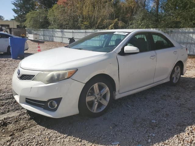 2013 Toyota Camry L