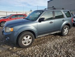 Ford Vehiculos salvage en venta: 2010 Ford Escape XLS