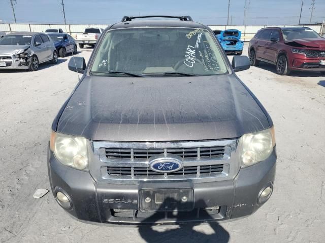 2010 Ford Escape XLT