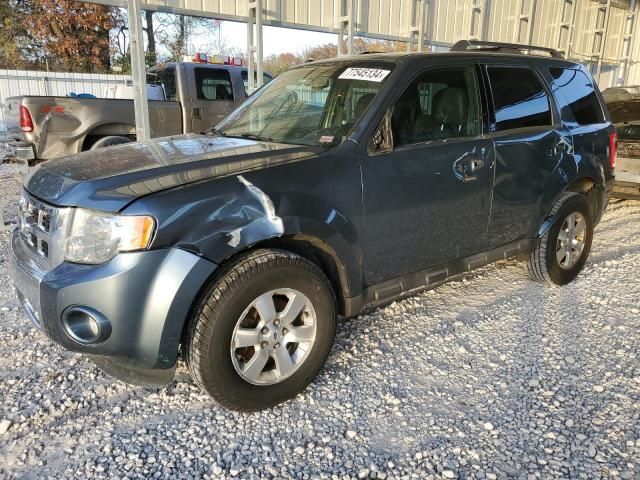 2010 Ford Escape Limited