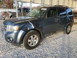 Ford Escape Vehiculos salvage en venta: 2010 Ford Escape Limited