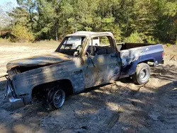 Salvage trucks for sale at Gaston, SC auction: 1982 Chevrolet C10