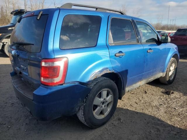 2012 Ford Escape XLT