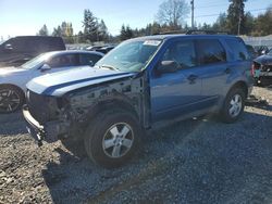 Ford Vehiculos salvage en venta: 2009 Ford Escape XLT