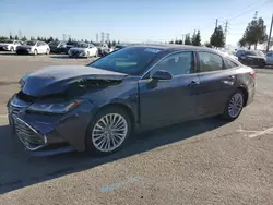 Salvage Cars with No Bids Yet For Sale at auction: 2019 Toyota Avalon XLE