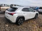 2019 Lexus UX 250H