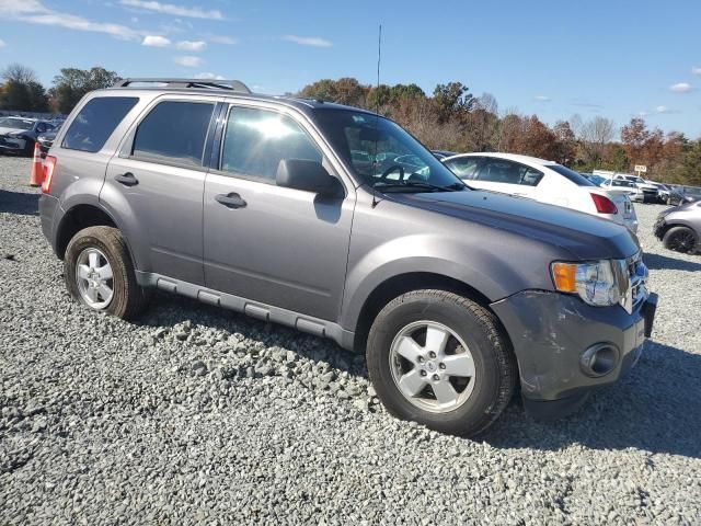 2011 Ford Escape XLT