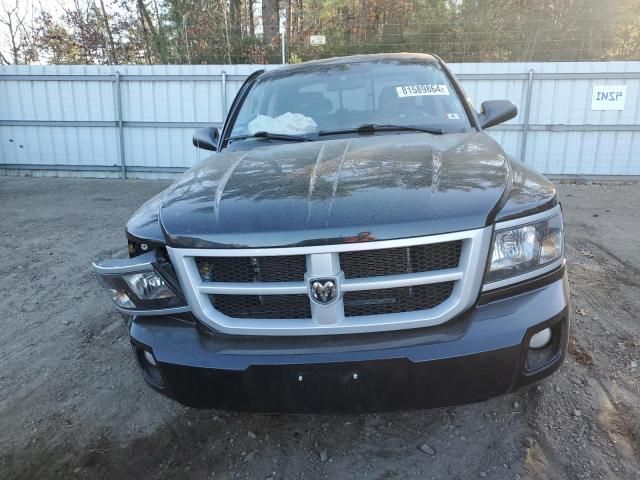 2011 Dodge Dakota SLT