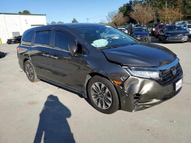 2021 Honda Odyssey EXL