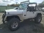 1991 Jeep Wrangler / YJ