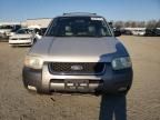 2004 Ford Escape XLT