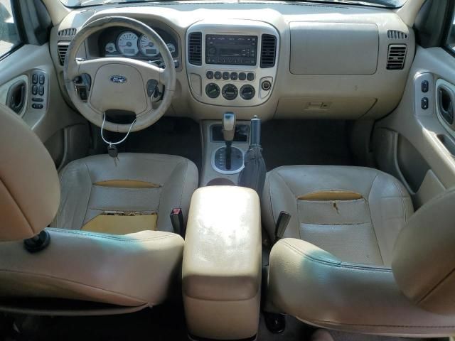 2005 Ford Escape Limited