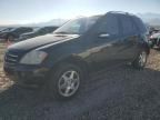 2007 Mercedes-Benz ML 350