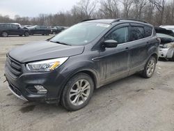 Ford Escape salvage cars for sale: 2017 Ford Escape SE