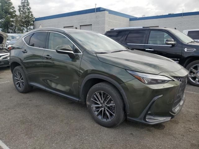 2023 Lexus NX 350