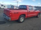 2006 Dodge Dakota Quattro