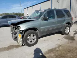 Salvage cars for sale at Apopka, FL auction: 2006 Ford Escape XLT