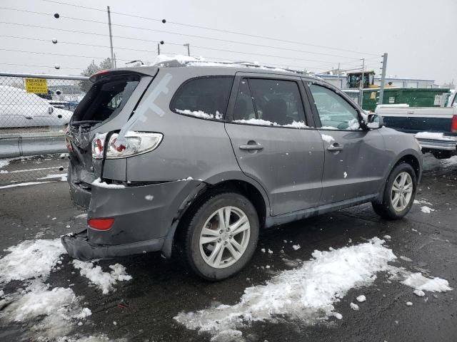 2010 Hyundai Santa FE SE