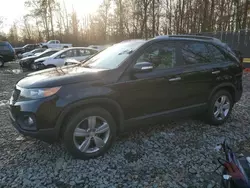 Salvage cars for sale at Waldorf, MD auction: 2013 KIA Sorento EX