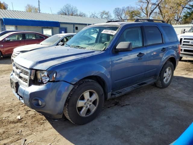 2009 Ford Escape XLT