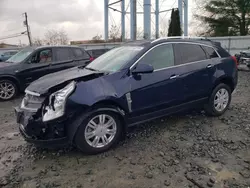 Cadillac salvage cars for sale: 2010 Cadillac SRX Luxury Collection