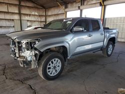 Salvage cars for sale at Phoenix, AZ auction: 2024 Toyota Tacoma Double Cab