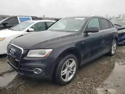 Salvage cars for sale at Cahokia Heights, IL auction: 2013 Audi Q5 Prestige