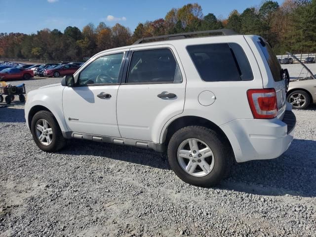 2009 Ford Escape Hybrid