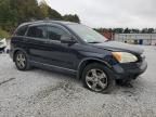 2007 Honda CR-V EX