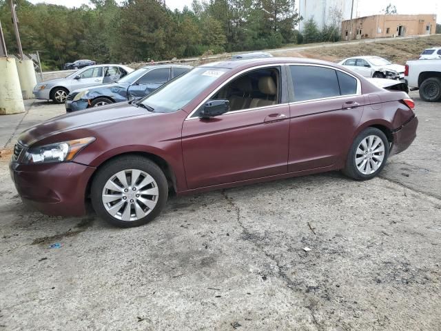 2009 Honda Accord EXL