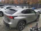 2021 Lexus NX 300H Base