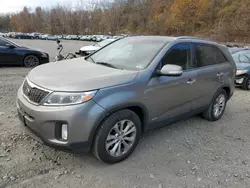 KIA Vehiculos salvage en venta: 2014 KIA Sorento EX