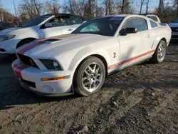 Salvage cars for sale at Marlboro, NY auction: 2009 Ford Mustang Shelby GT500