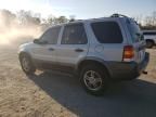 2004 Ford Escape XLT