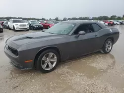 Carros dañados por inundaciones a la venta en subasta: 2019 Dodge Challenger SXT