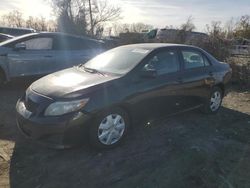 Toyota salvage cars for sale: 2010 Toyota Corolla Base