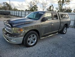 Salvage cars for sale at Riverview, FL auction: 2011 Dodge RAM 1500