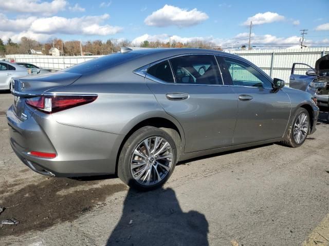 2019 Lexus ES 350